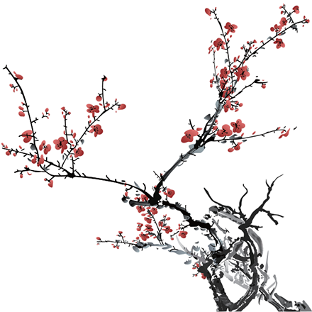 Cherry Blossom Drawing
